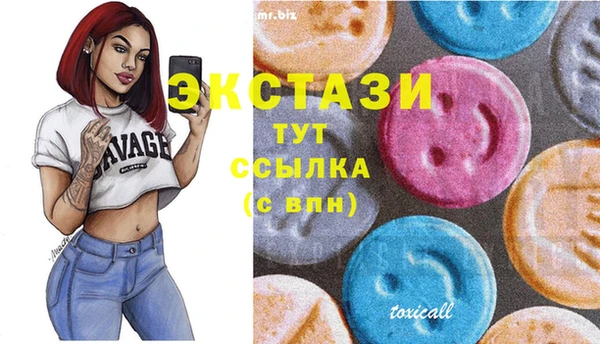 индика Армянск