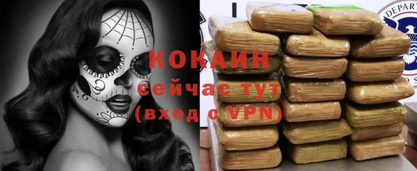 PSILOCYBIN Остров