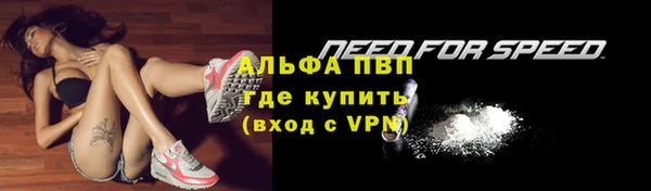 крисы Арсеньев