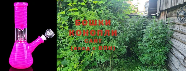 крисы Арсеньев