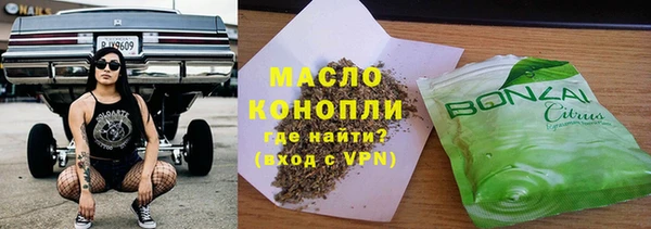 индика Армянск