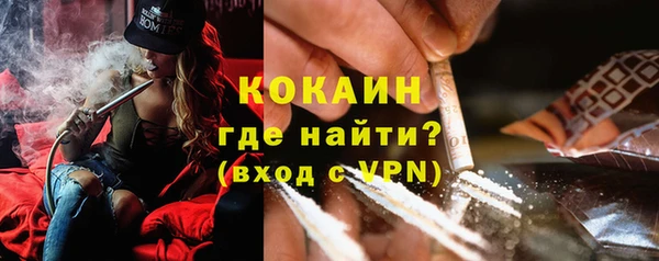 индика Армянск